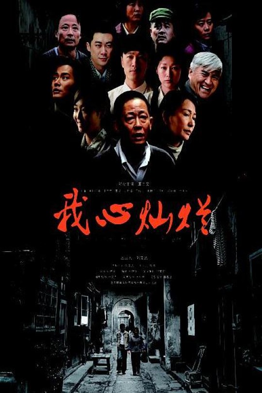 [115云盘]我心灿烂[2013][完结剧集][1080P][国语][中文字幕][25.51GB]