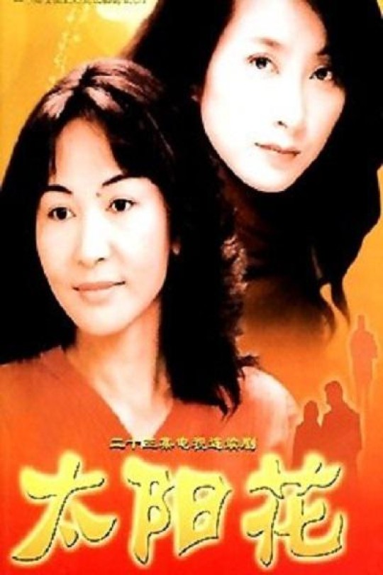 [115云盘]太阳花[2002][完结剧集][4K][国语][中文字幕][26.84GB]