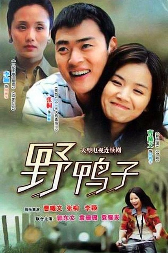 [115][中国内地][2011][野鸭子][曹曦文/张桐][26集][国语中字][MP4/每集约2.59G][4K.H264][共67.43GB]