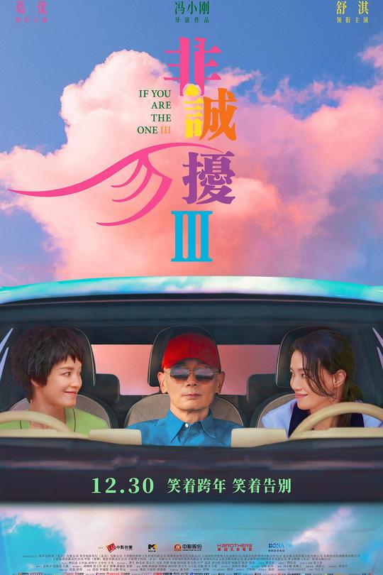 非诚勿扰3[2023]葛优  舒淇[4K高码60帧][国语][中文字幕][21.73GB]