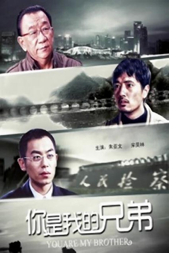 [115云盘]你是我兄弟[2011][完结剧集][1080P][国语][中文字幕][100.12GB]