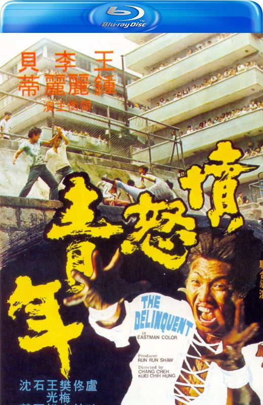 愤怒青年[1973][德版原盘][国语][中文字幕][22.49GB]