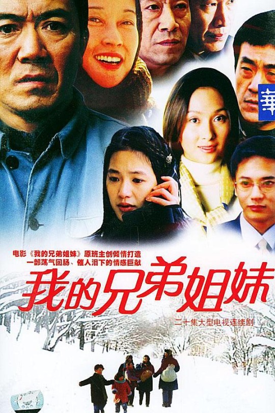 [115云盘]我的兄弟姐妹[2004][完结剧集][1080P][国语][中文字幕][10.91GB]