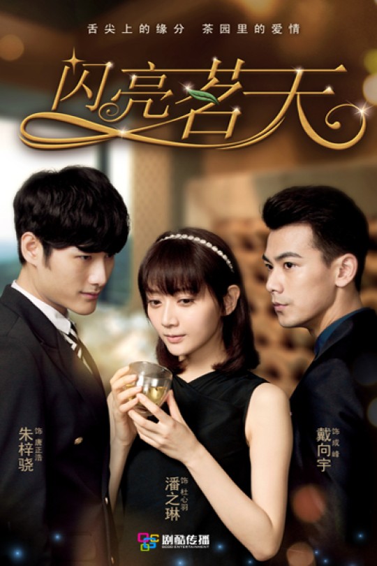 [115云盘]闪亮茗天[2015][完结剧集][4K][国语][中文字幕][93.78GB]