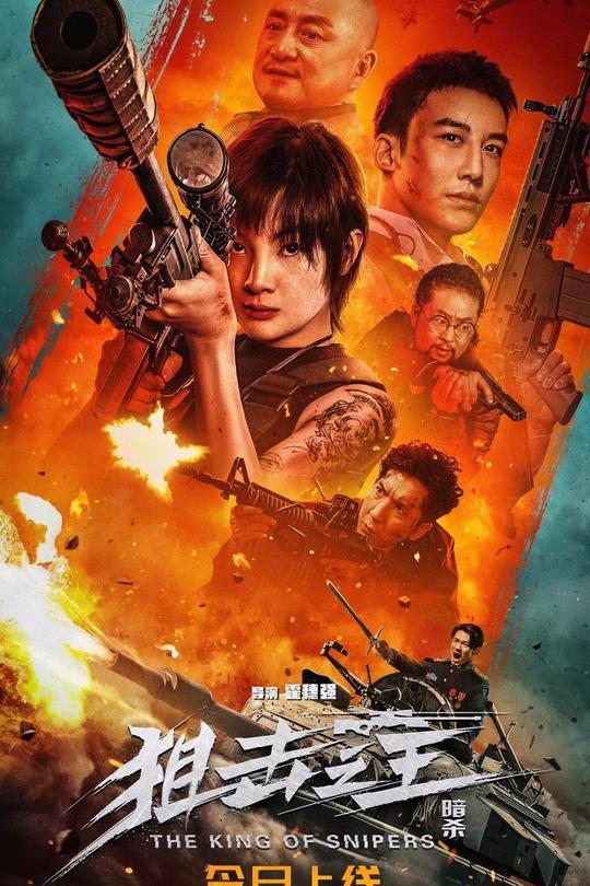 狙击之王：暗杀[2023]麦亨利 杨杏[4K高码60帧][国语][中文字幕][17.35GB]