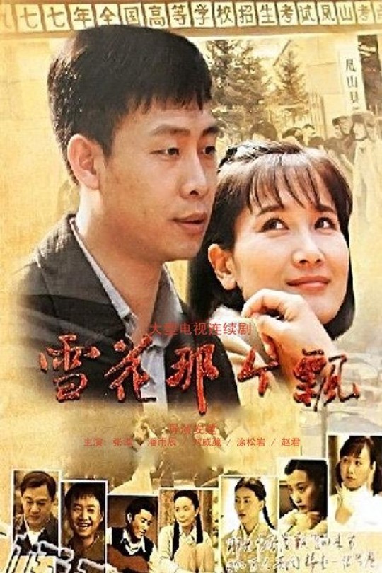 [115云盘]雪花那个飘[2010][完结剧集][1080P][国语][中文字幕][17.07GB]