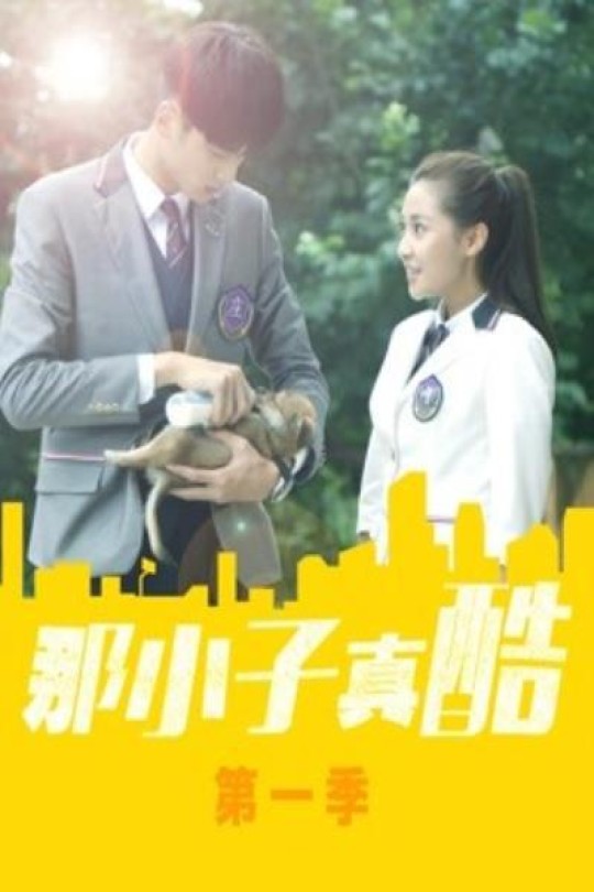 [115云盘]那小子真酷[2020][完结剧集][4K][国语][中文字幕][19.52GB]