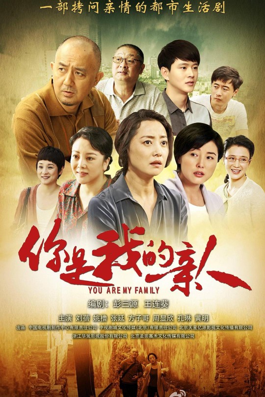 [115云盘]你是我的亲人[2013][完结剧集][4K][国语][中文字幕][44.76GB]