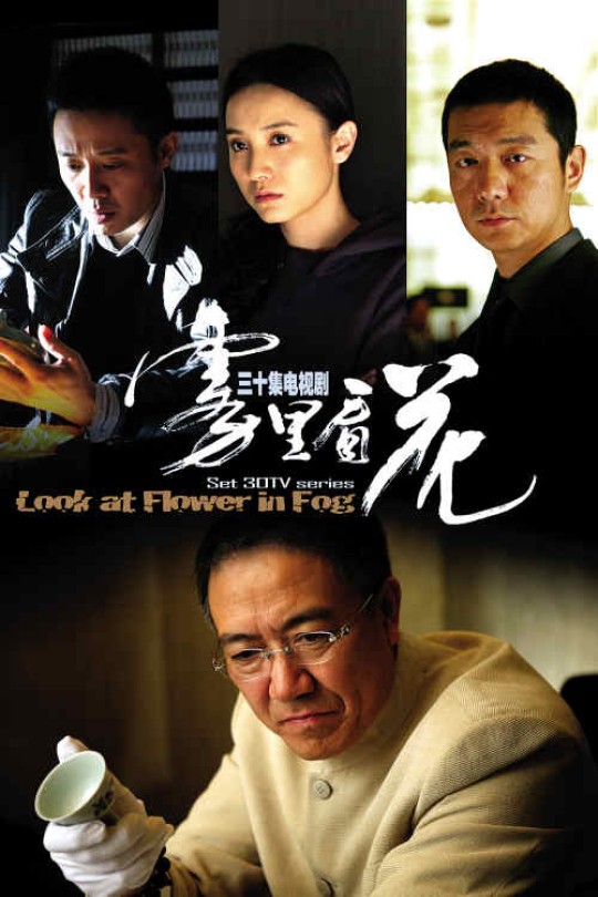 [115云盘]雾里看花[2009][完结剧集][1080P][国语][中文字幕][24.13GB]