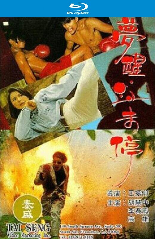 梦醒血未停[1991][德版原盘][国/粤语][中文字幕][37.17GB]