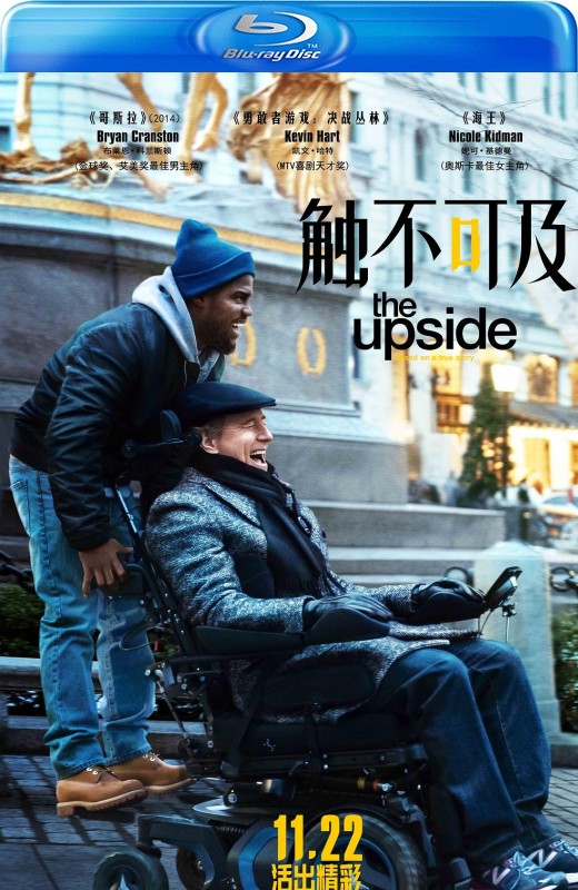 触不可及(美版) - The Upside【法版2D原盘】