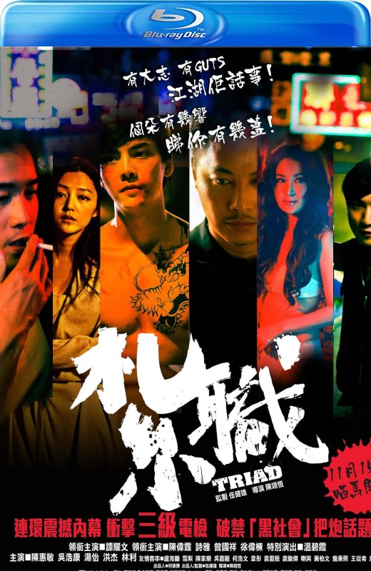 扎职[2012][港版原盘][国/粤语][中文字幕][21.76GB]