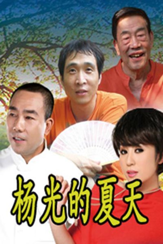 [115云盘]杨光的夏天[2012][完结剧集][4K][国语][中文字幕][44.19GB]