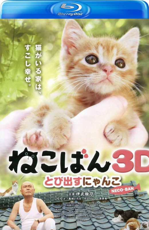 小猫跳出来3D[2011][港版原盘][日语][中文字幕][17.6GB]