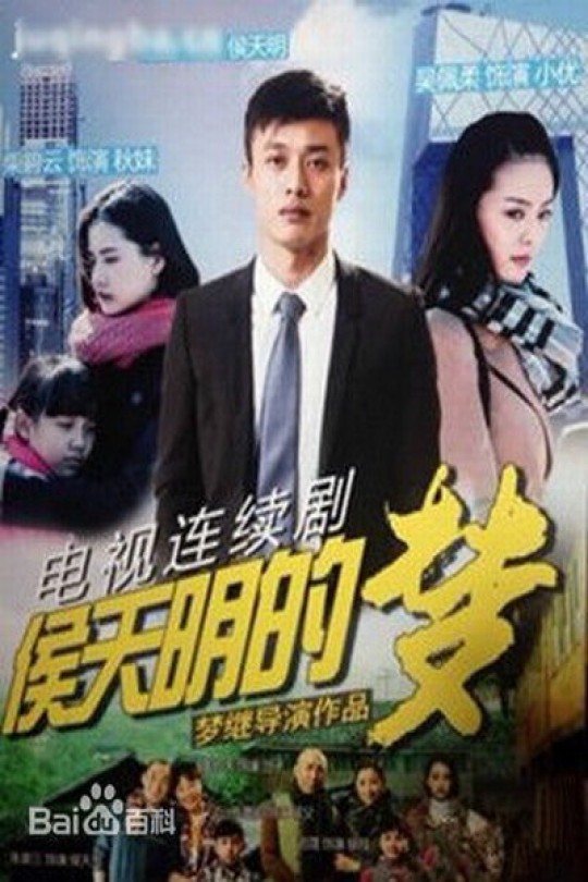 [115云盘]侯天明的梦[2015][完结剧集][4K][国语][中文字幕][39.35GB]