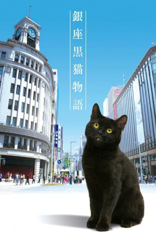 [115云盘]银座黑猫物语[2020][完结剧集][4K][日语][内嵌简日双语字幕][14.20GB]