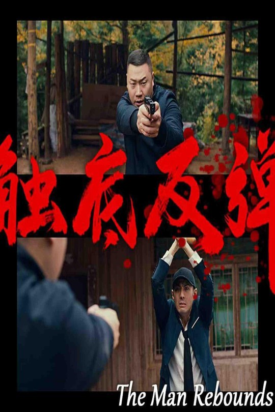 触底反弹[2024]余龙   欧阳可依[4K高码][国语][中文字幕][24.1GB]