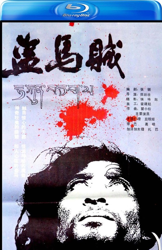 盗马贼[1986][国版原盘][国语][中文字幕][38.27GB]